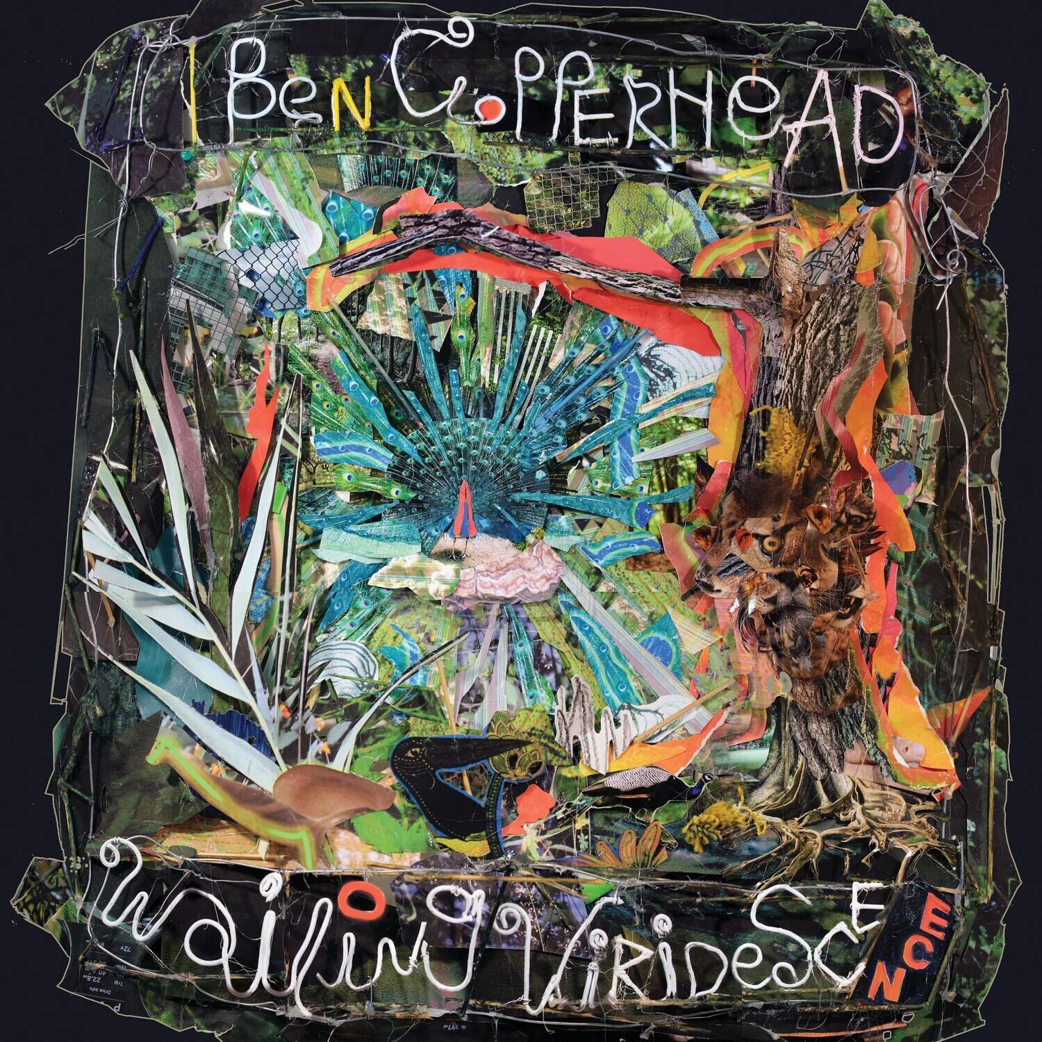 Ben Copperhead - Wailing Viridescence - VINYL LP