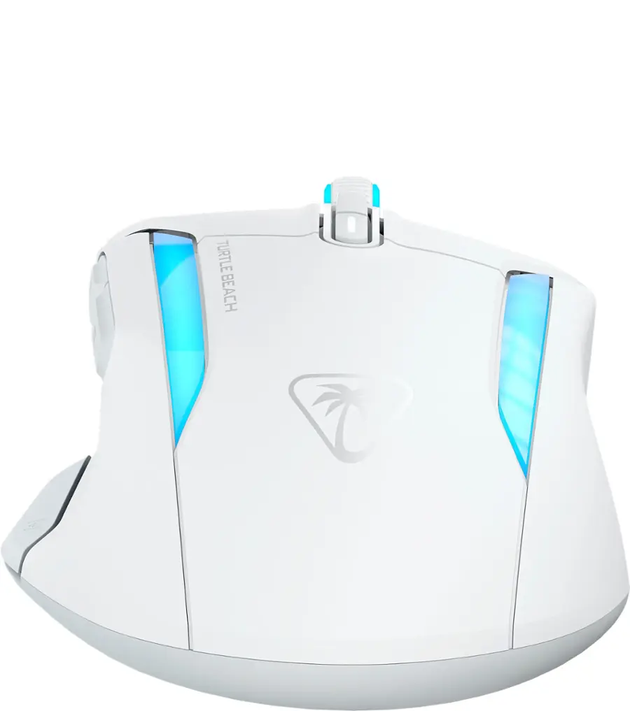 Turtle Beach