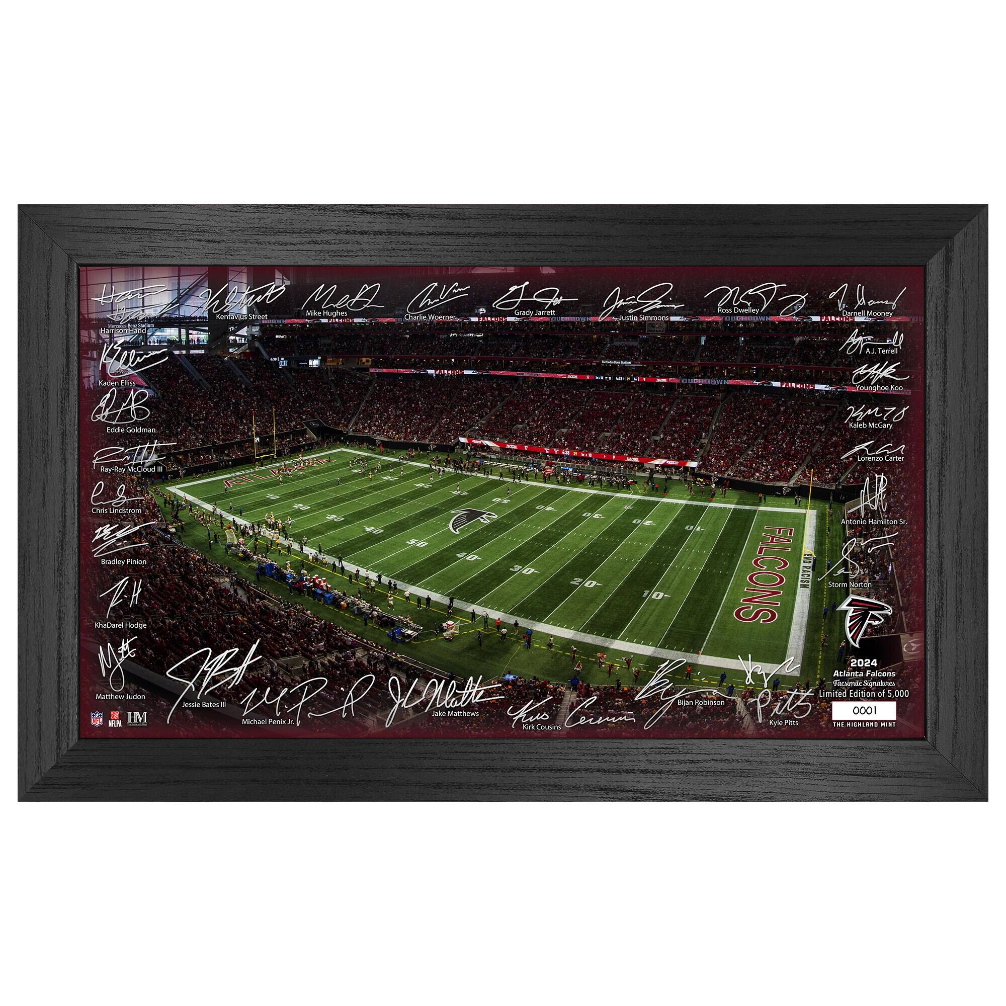 Atlanta Falcons 12" x 20" 2024 Signature Gridiron Panoramic Framed Photo