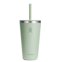 Hydroflask - All Around 28 fl. oz. BPA Free Insulated Bottle - Aloe