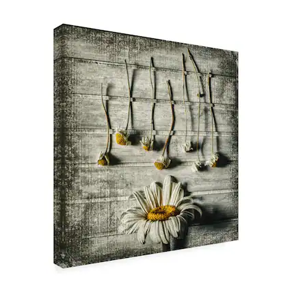 Front. Trademark Fine Art - Jacqueline Van Bijnen Survival Canvas Art - 14 x 14 Inches - 14x14 - Multicolor.