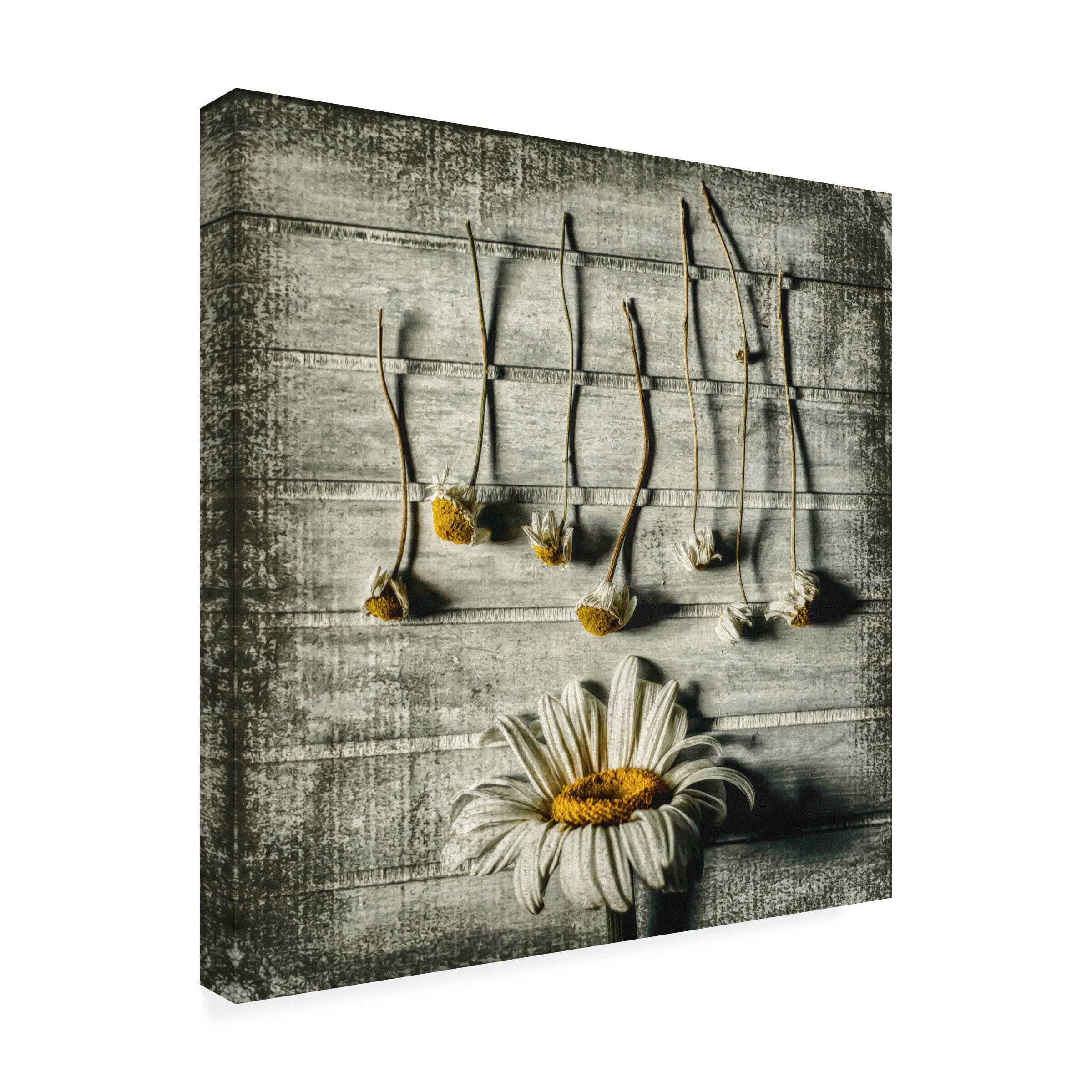 Front. Trademark Fine Art - Jacqueline Van Bijnen Survival Canvas Art - 14 x 14 Inches - 14x14 - Multicolor.