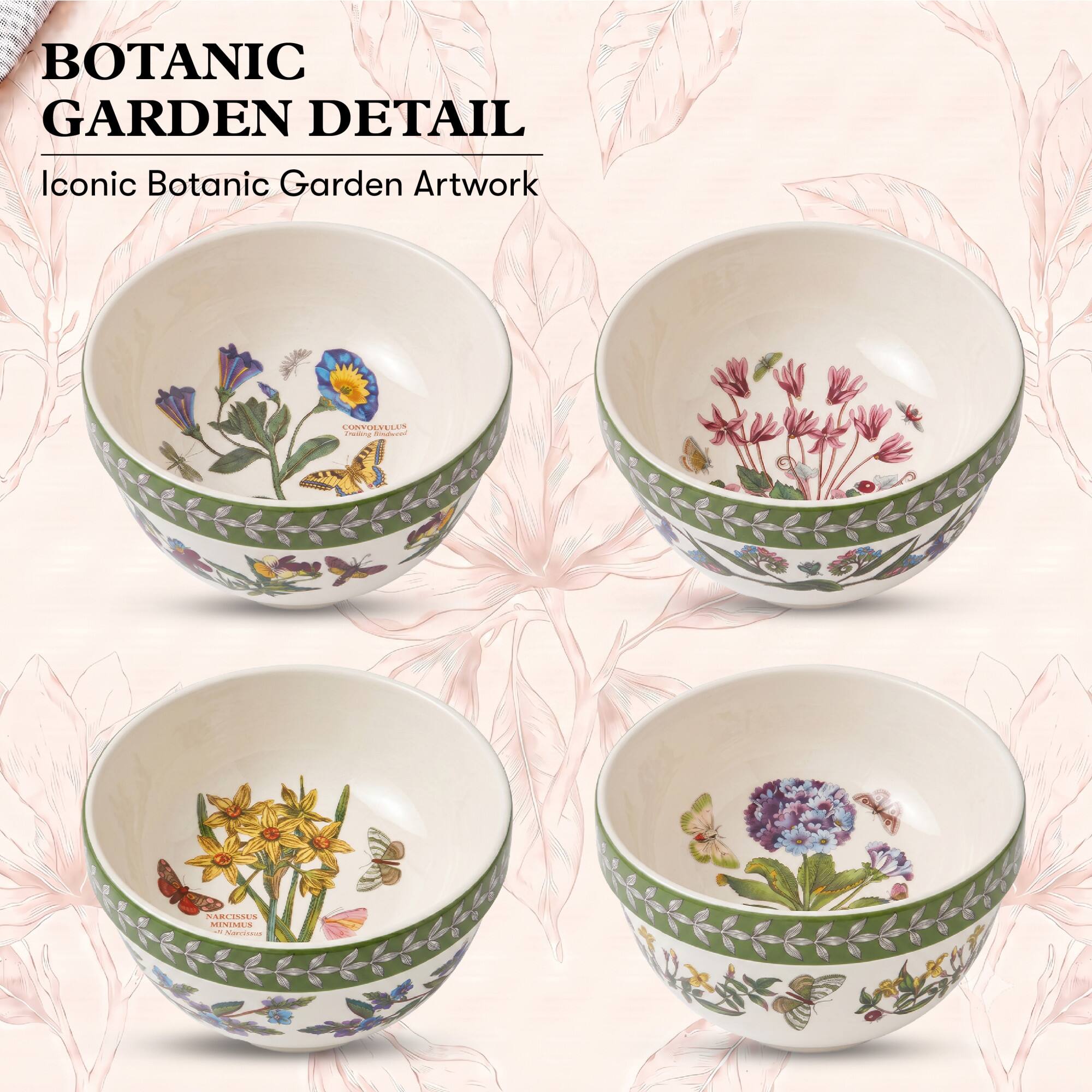 BOTANIC GARDEN DETAIL  
Iconic Botanic Garden Artwork  

CONVOLVULUS  
Bindwool  

NARCISSUS MINIMUS  
5 Karcissus