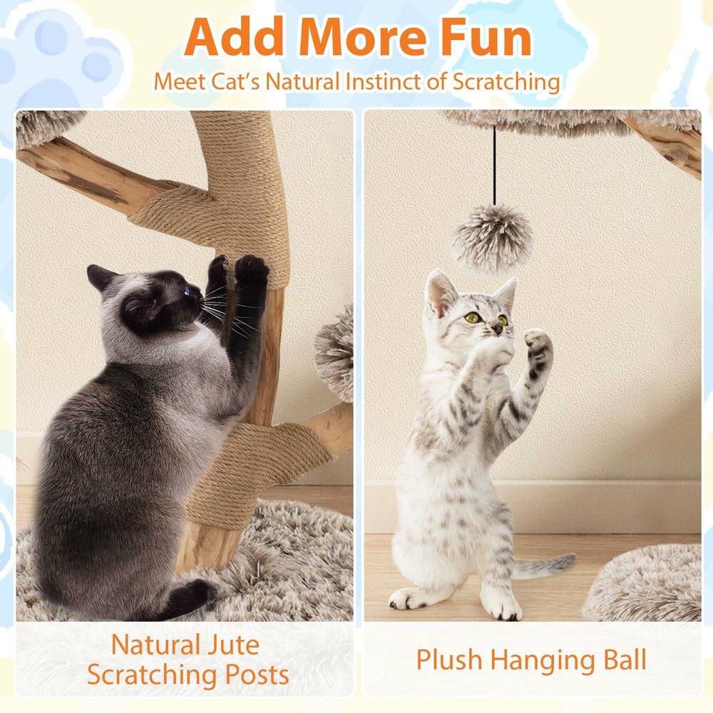 Add More Fun  
Meet Cat's Natural Instinct of Scratching  

Natural Jute Scratching Posts  
Plush Hanging Ball