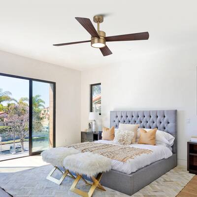 CHAIVUTRUAMRUDEEKOOL 【DIMENTIONOFCOLOUR】 Parrot Uncle 52 Inch RGB Smart Ceiling Fan with Lights