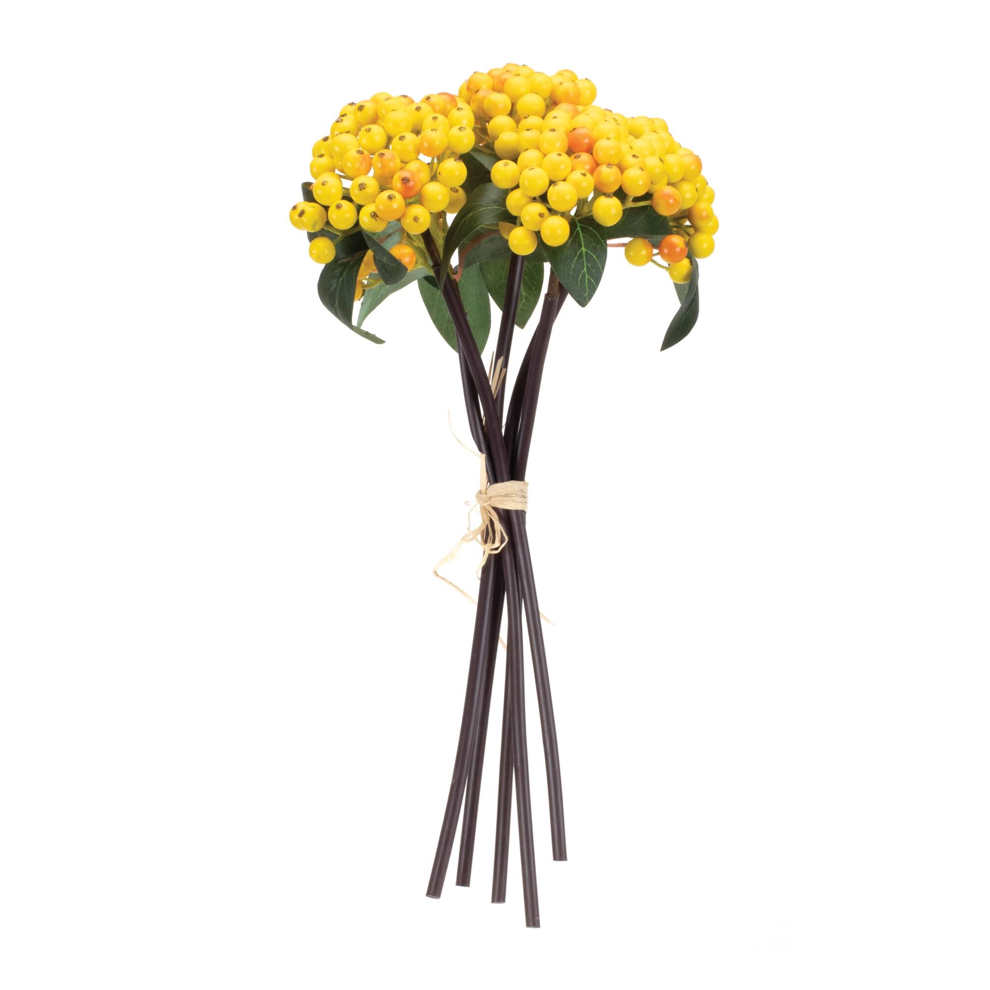 Angle. BreeBe - Yellow Berry Bundle (Set of 2) - Yellow, Green.