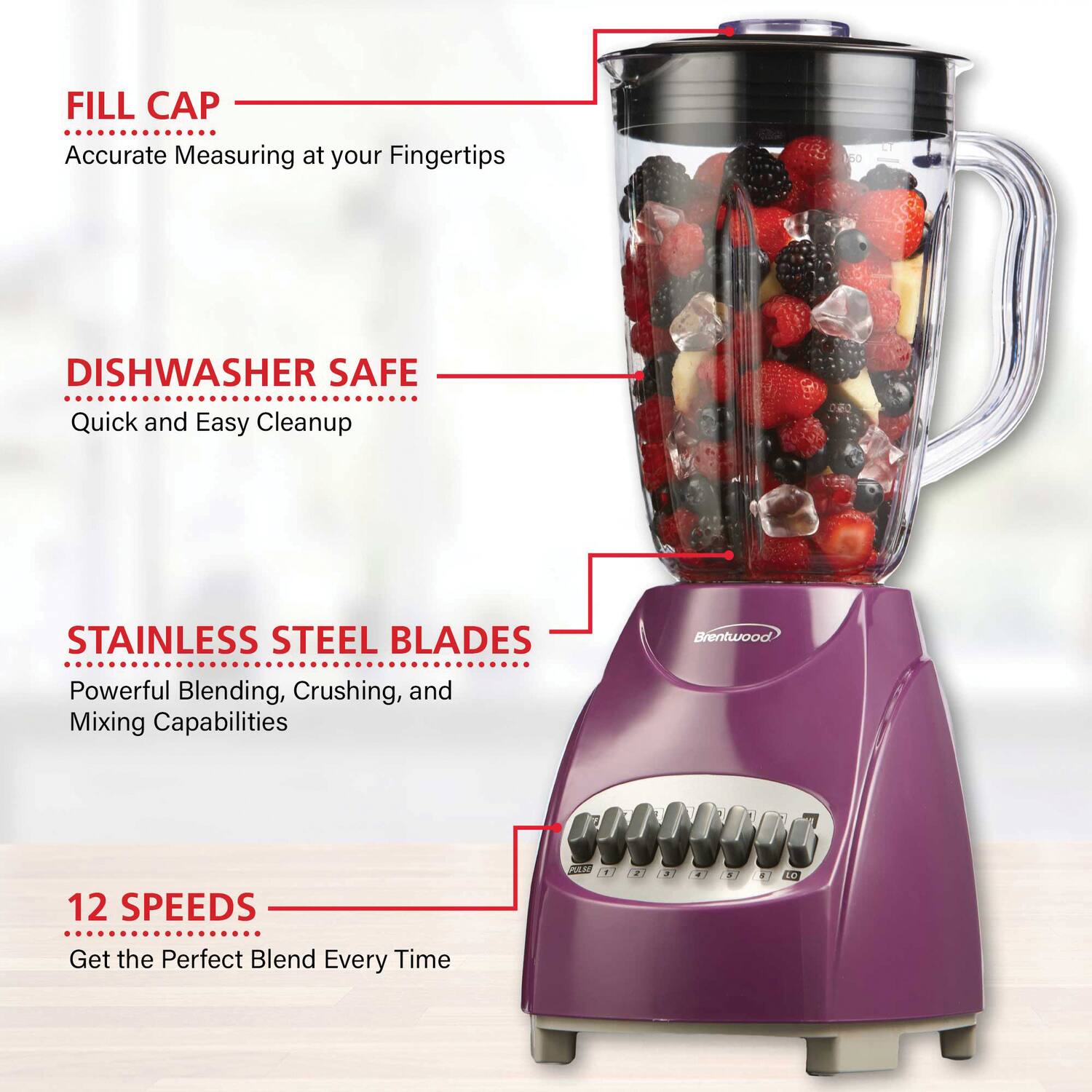 - FILL CAP
  - Accurate Measuring at your Fingertips

- DISHWASHER SAFE
  - Quick and Easy Cleanup

- STAINLESS STEEL BLADES
  - Powerful Blending, Crushing, and Mixing Capabilities

- 12 SPEEDS
  - Get the Perfect Blend Every Time