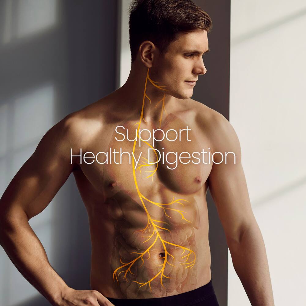 Support Healthy Digestion