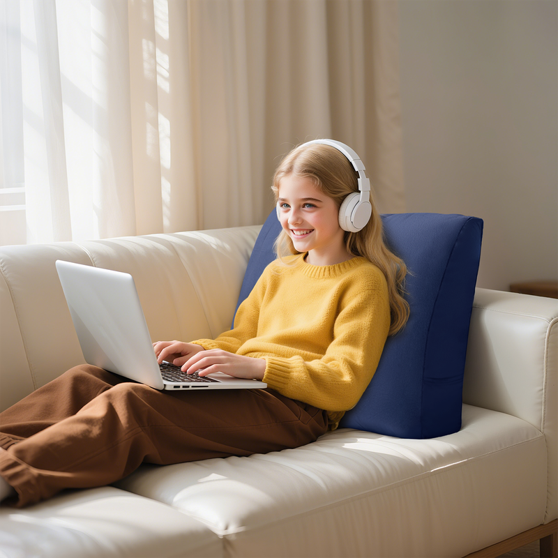 Alt View 1. wowmax - Back Pillow for Sitting in Bed, Back Support Pillow for Couch, Removable Velvet Cover, Blue - Blue.