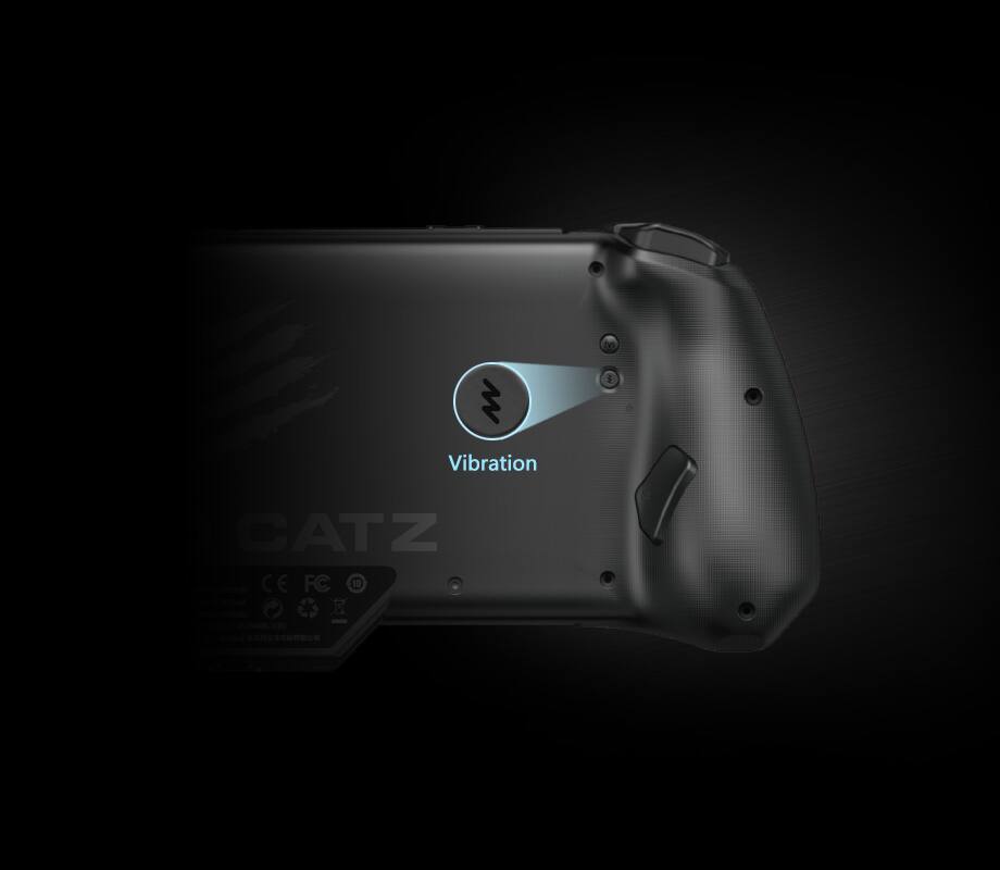 De Vibration CATZ CE FC 10