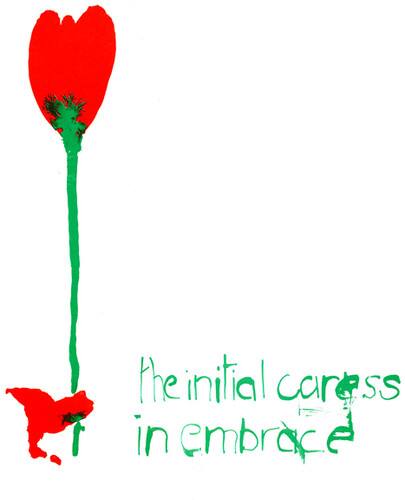 In Embrace - The Initial Caress   - COMPACT DISCS [CD]
