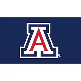 Evergreen Enterprises - Arizona Wildcats 28" x 16" Turf Mat - Multicolor