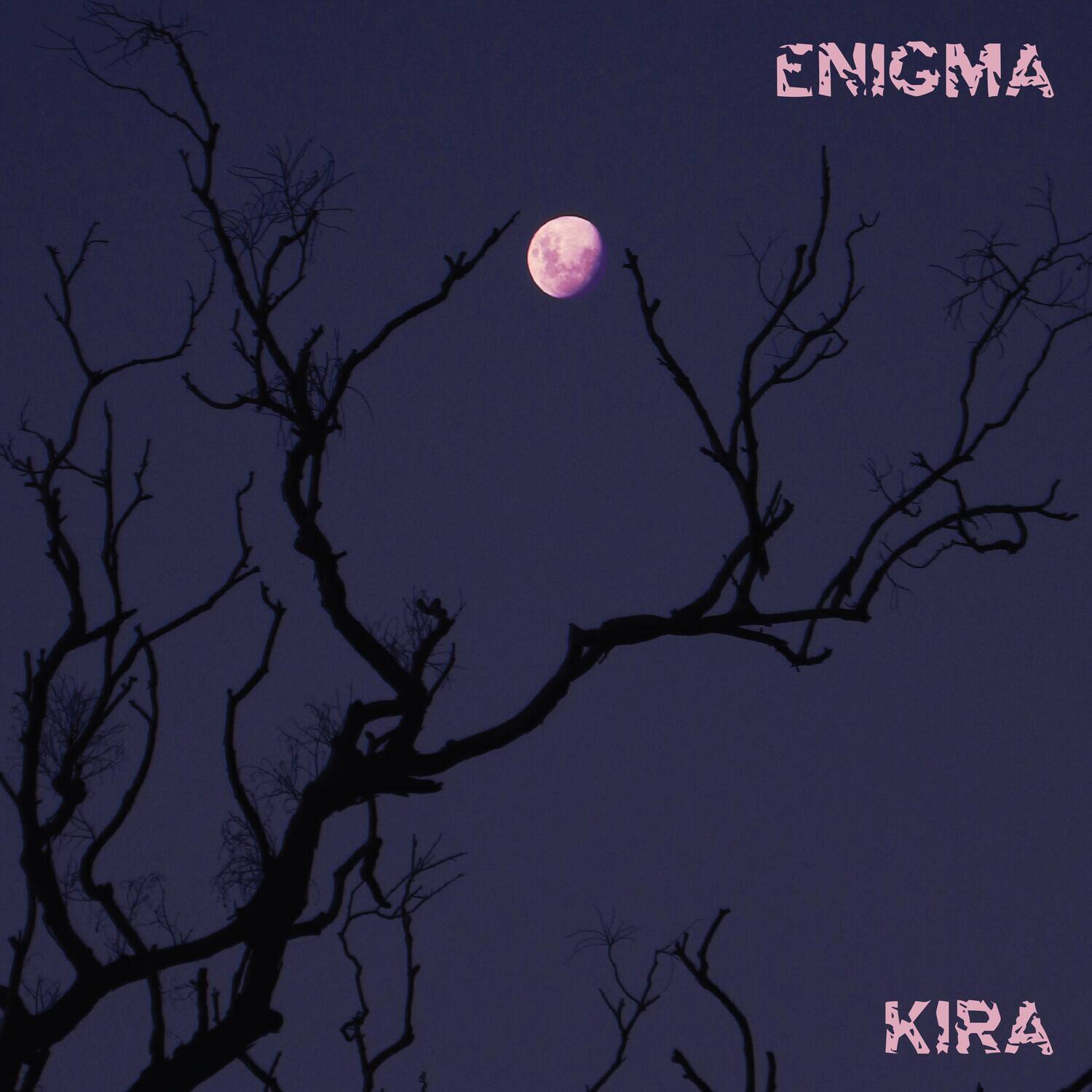 Kira Roessler - Enigma   - COMPACT DISCS [CD] price history on PriceWatchPro