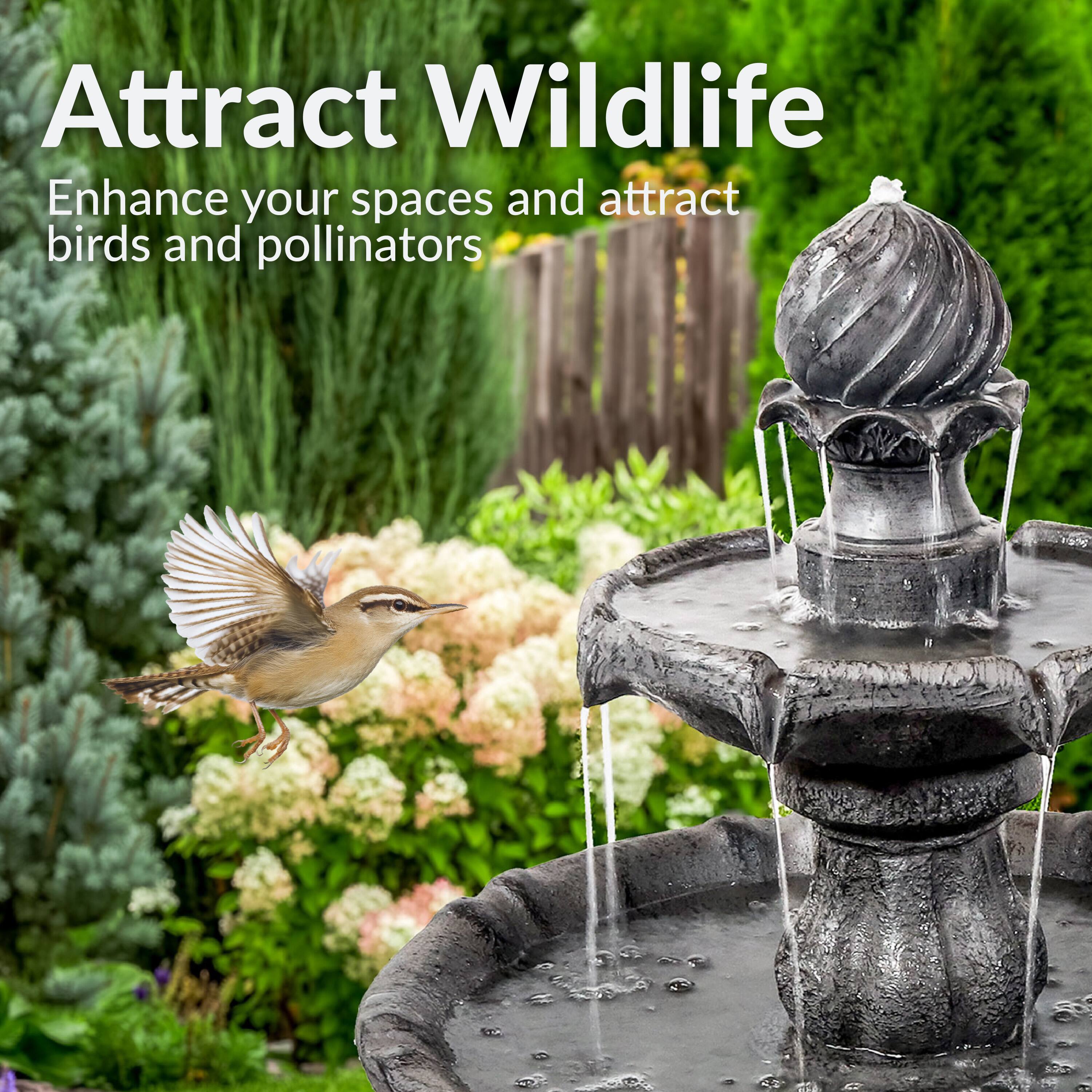 Attract Wildlife  
Enhance your spaces and attract birds and pollinators