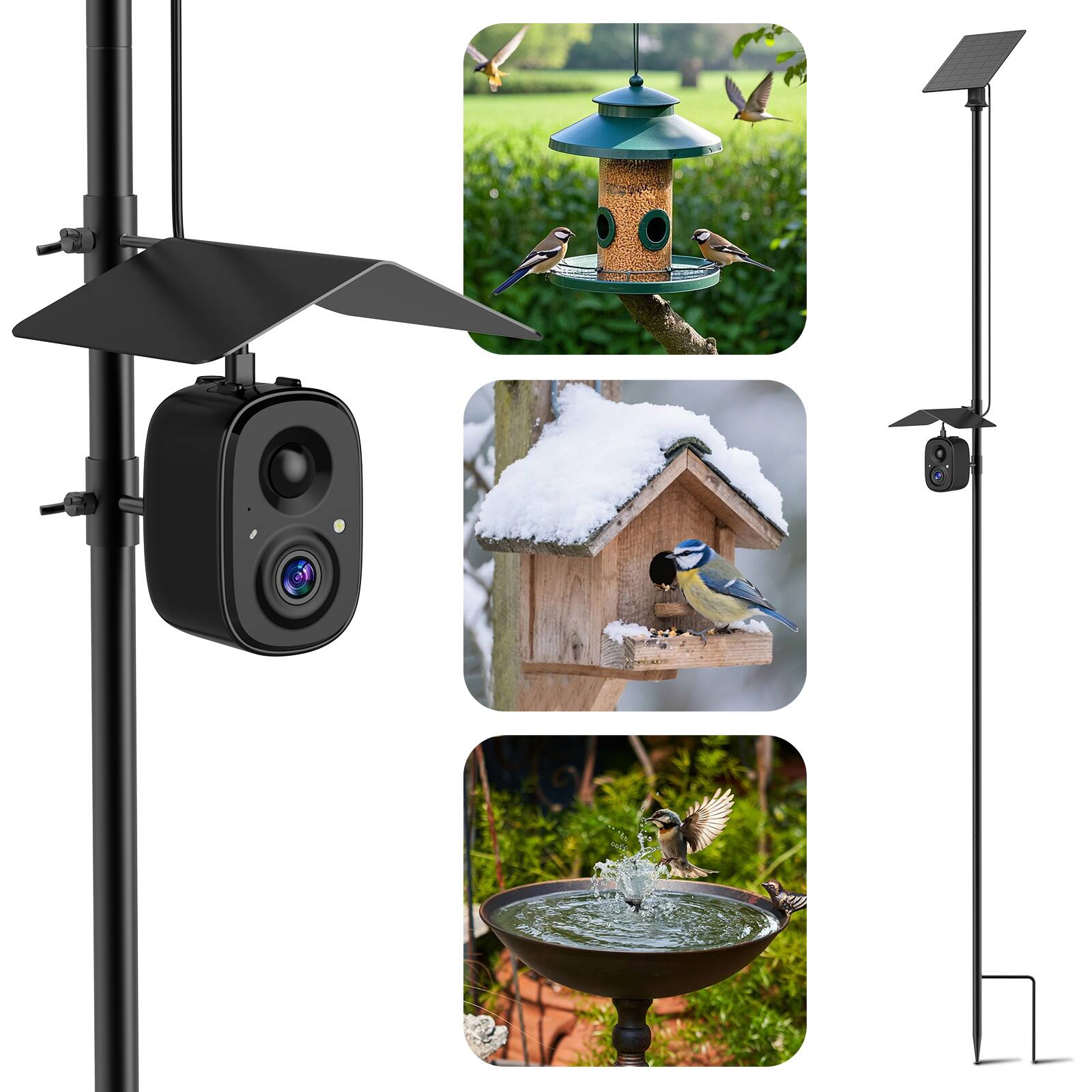 Alt View 9. CoolFly - Coolfly x Richbird - 2.5K HD Smart Bird Camera with AI Recognition, Solar Panel, and Pole Mount - Black.
