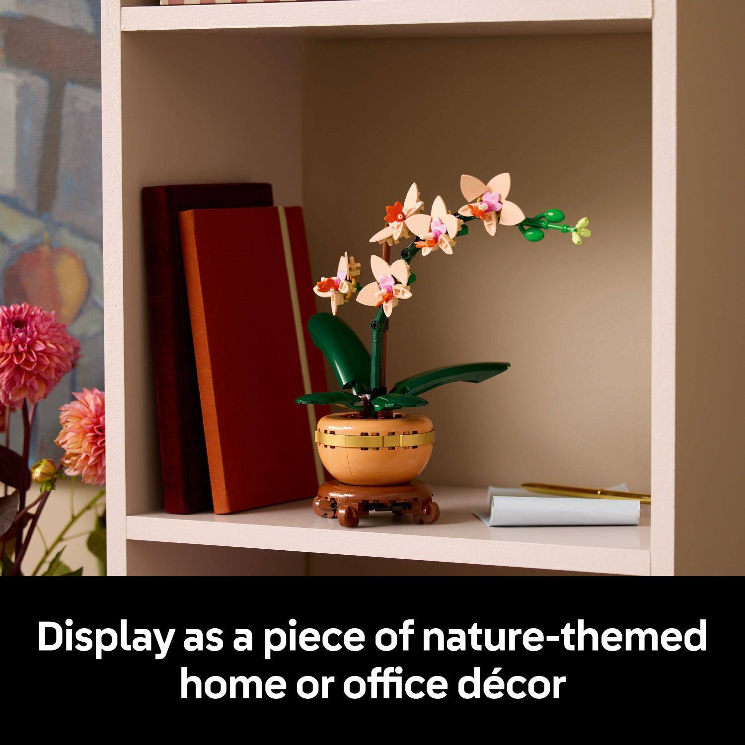 Display as a piece of nature-themed home or office décor