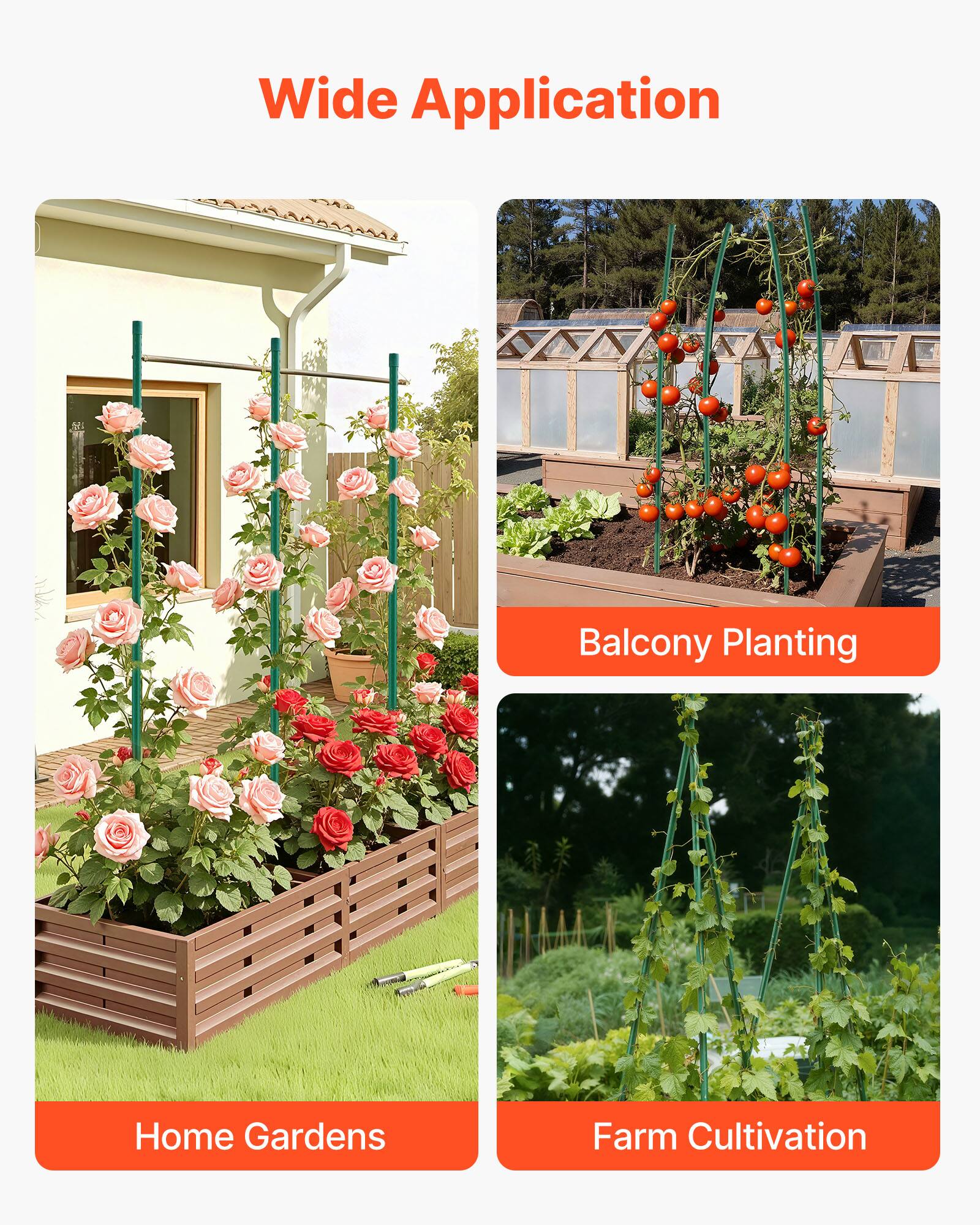 Wide Application  
Balcony Planting  
Home Gardens  
Farm Cultivation
