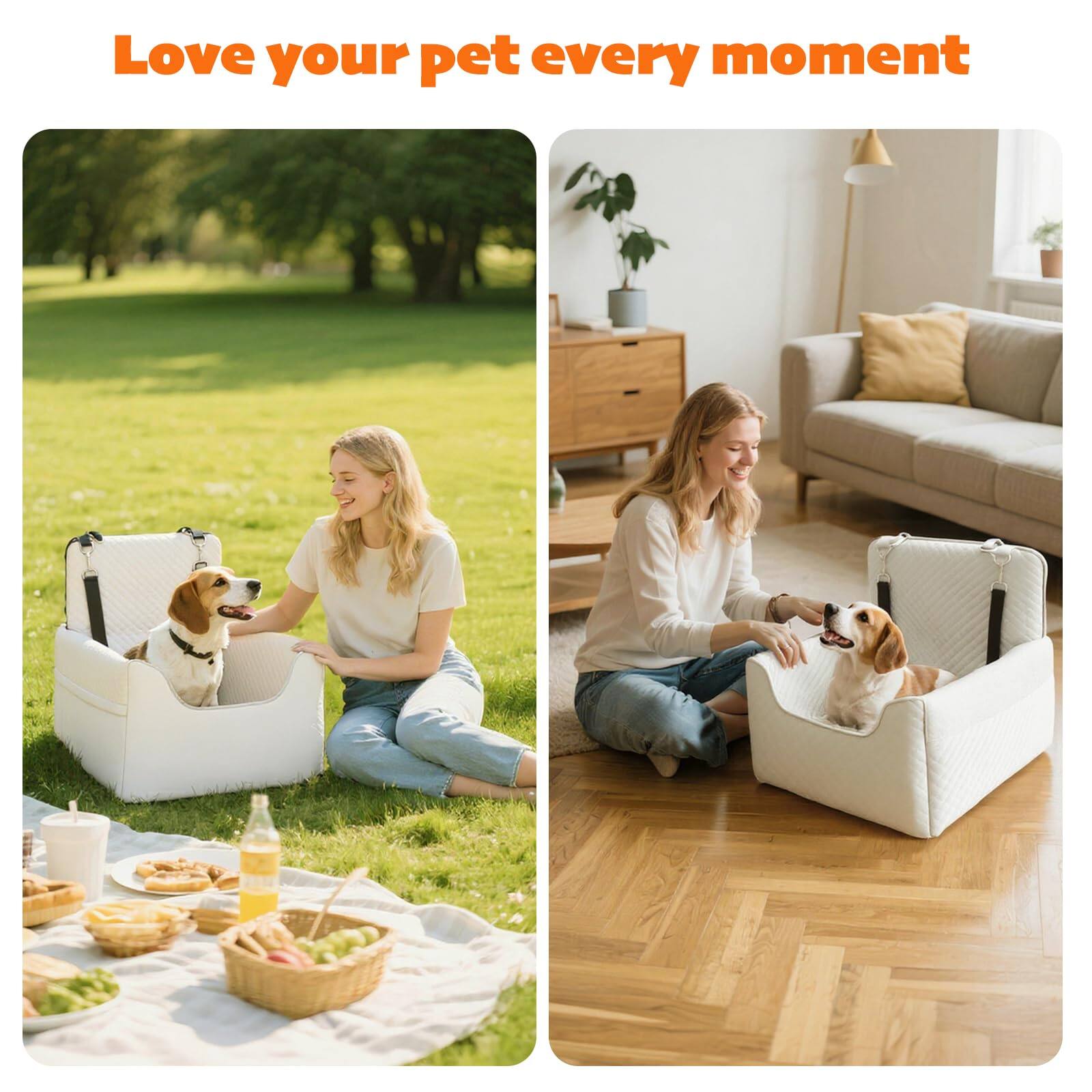 Love your pet every moment