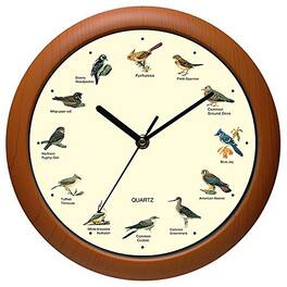 DORLUKFU - Singing Bird Wall Clock 12 Inch of The Bird Names and Songs - Brown(12inch)