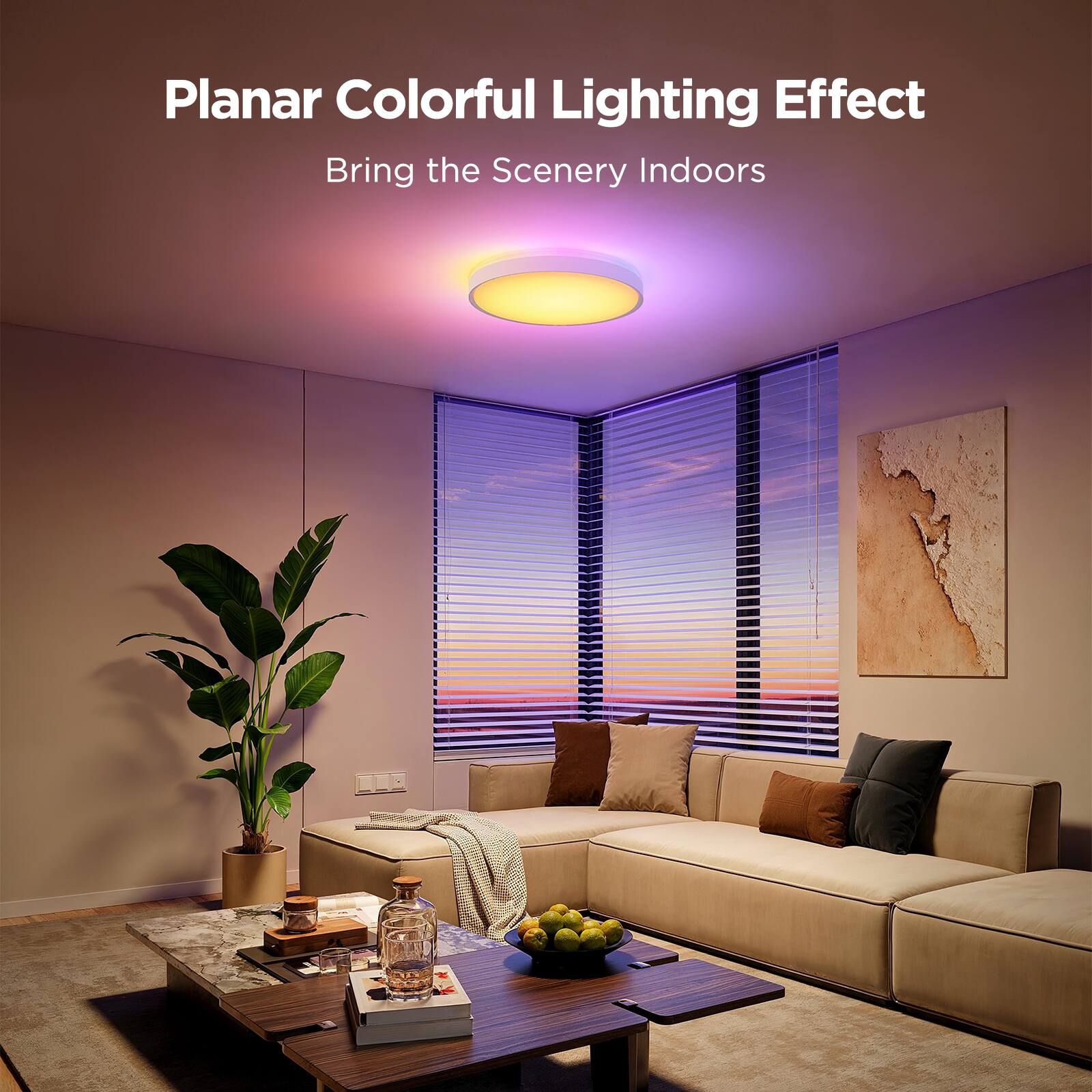 Planar Colorful Lighting Effect  
Bring the Scenery Indoors