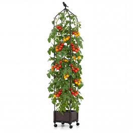 Costway - 1 PCS Raised Garden Bed Tomato Cage Planter Box with PE-Coated Metal Trelli Wheels - Black