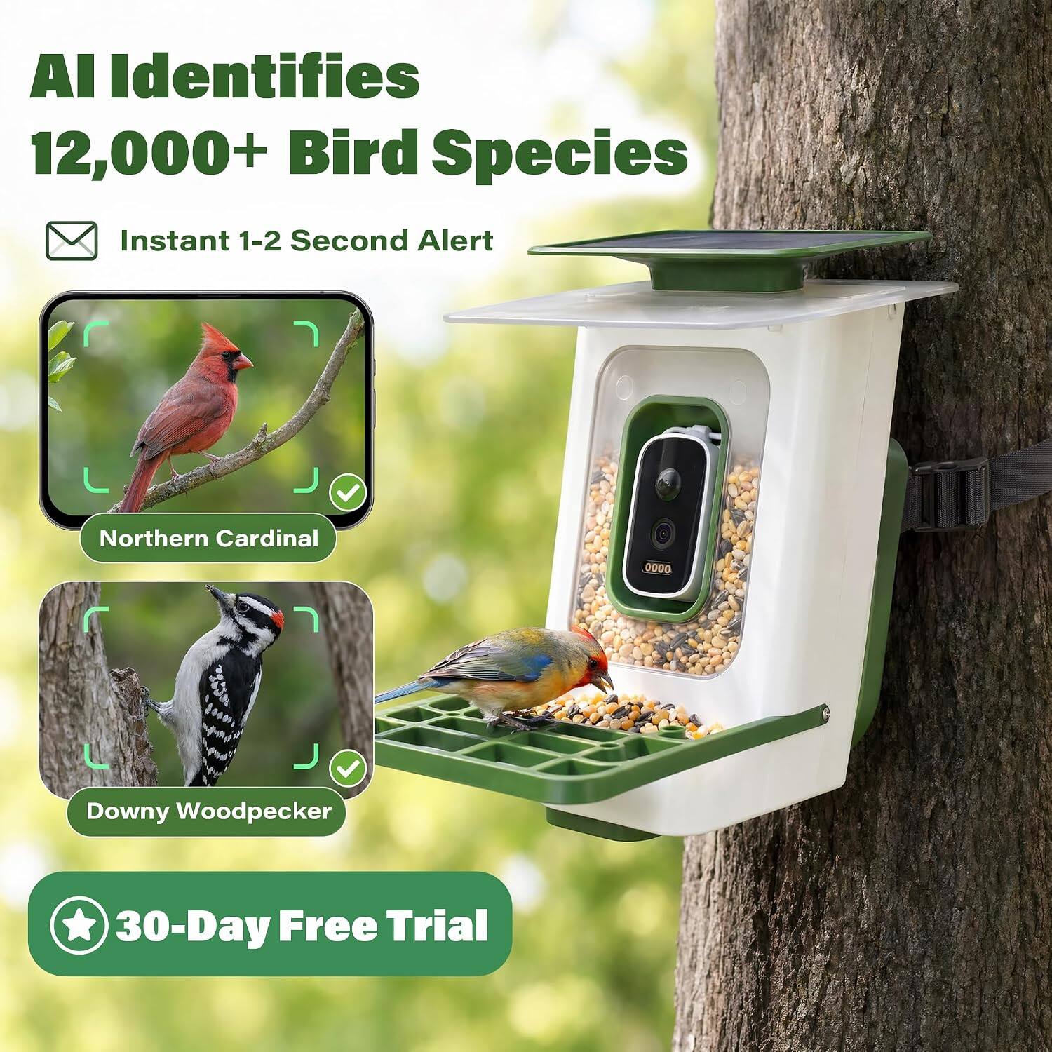 AI Identifies 12,000+ Bird Species  
Instant 1-2 Second Alert  
Northern Cardinal  
Downy Woodpecker  
30-Day Free Trial
