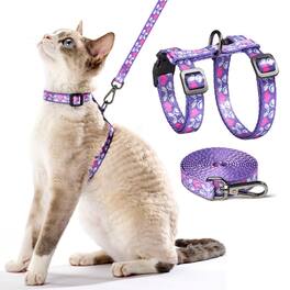 Paradigms Interiors - Cat Harness And Leash Set - Escape Proof Comfortable Soft Use Safe & Easy Walking Travel Kitten For Cats - Purple Rabbit in Wonderland