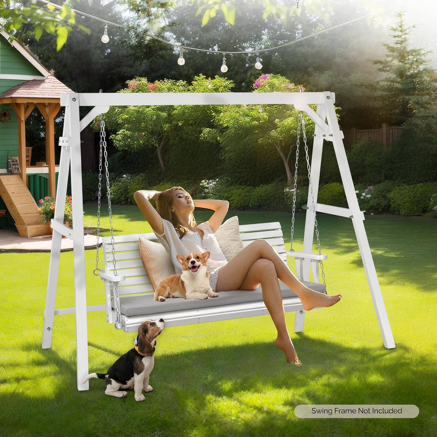 Swing Frame Not Included