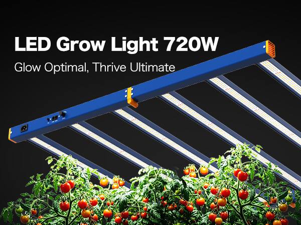 LED Grow Light 720W  
Glow Optimal, Thrive Ultimate
