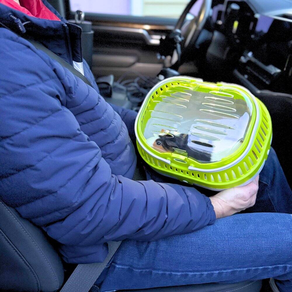 Left. TRIXIE - Pico Transport Crate for Traveling, Small Pet Carrier Ideal for Hamsters - Assorted.