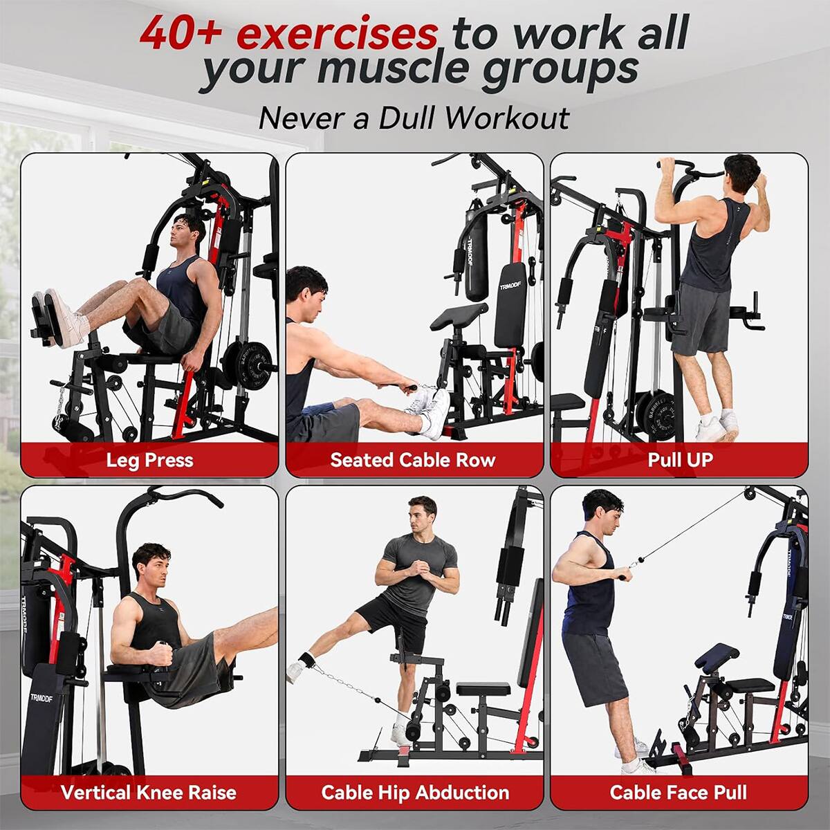 40+ exercises to work all your muscle groups  
Never a Dull Workout

- Leg Press
- Seated Cable Row
- Pull UP
- Vertical Knee Raise
- Cable Hip Abduction
- Cable Face Pull