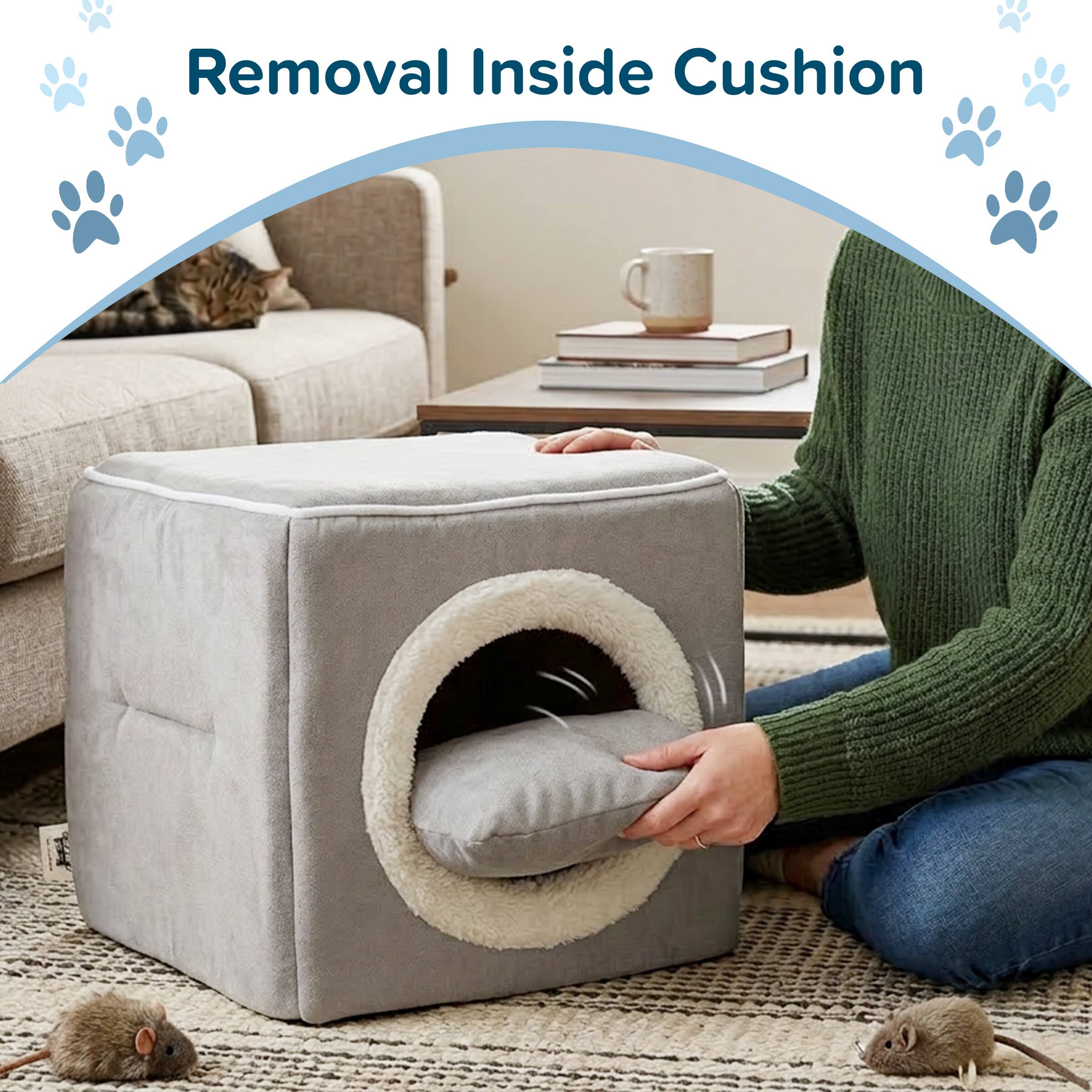 Removal Inside Cushion