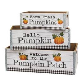 BreeBe - *3/Set Welcome to the Pumpkin Patch Crates - Multi