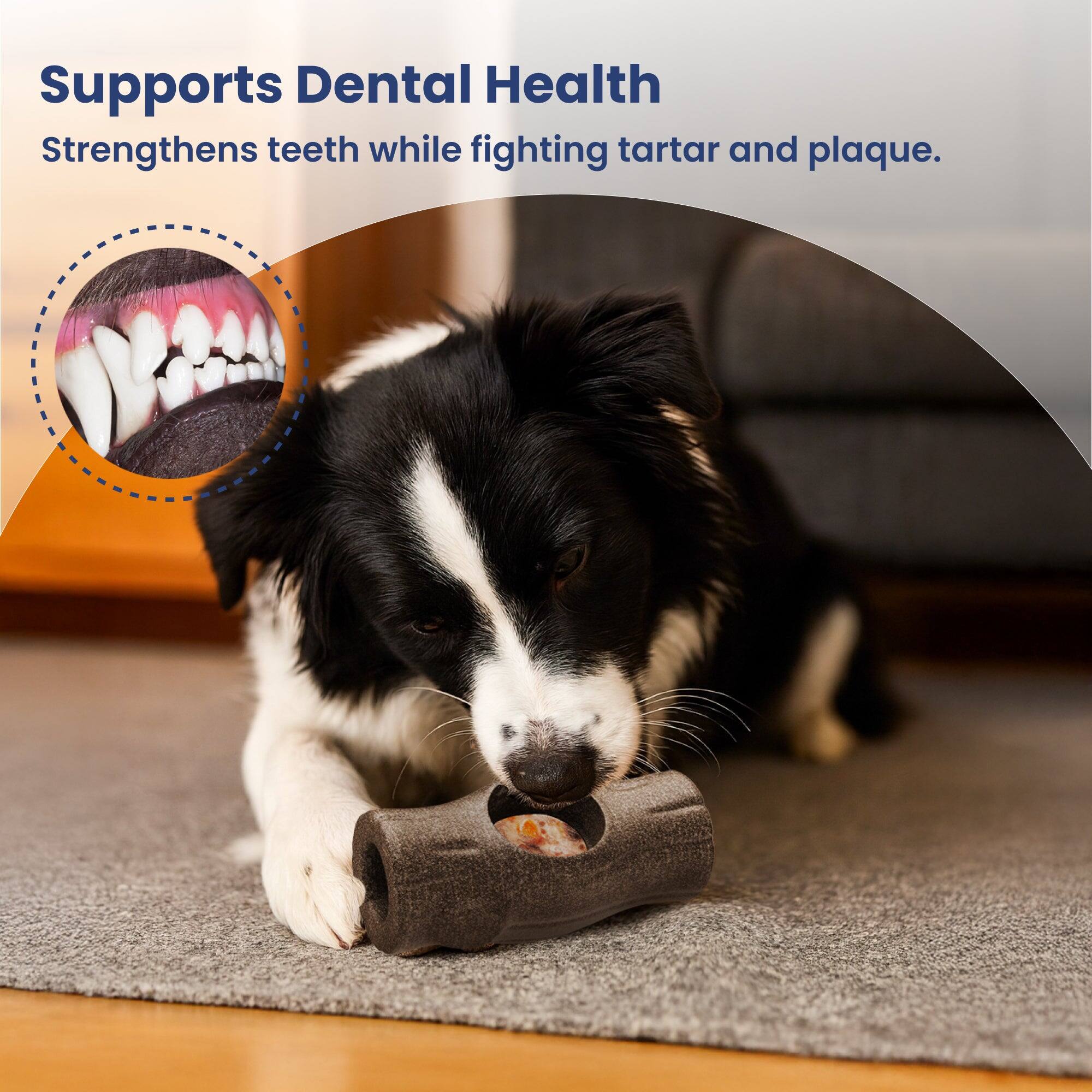 Supports Dental Health  
Strengthens teeth while fighting tartar and plaque.
