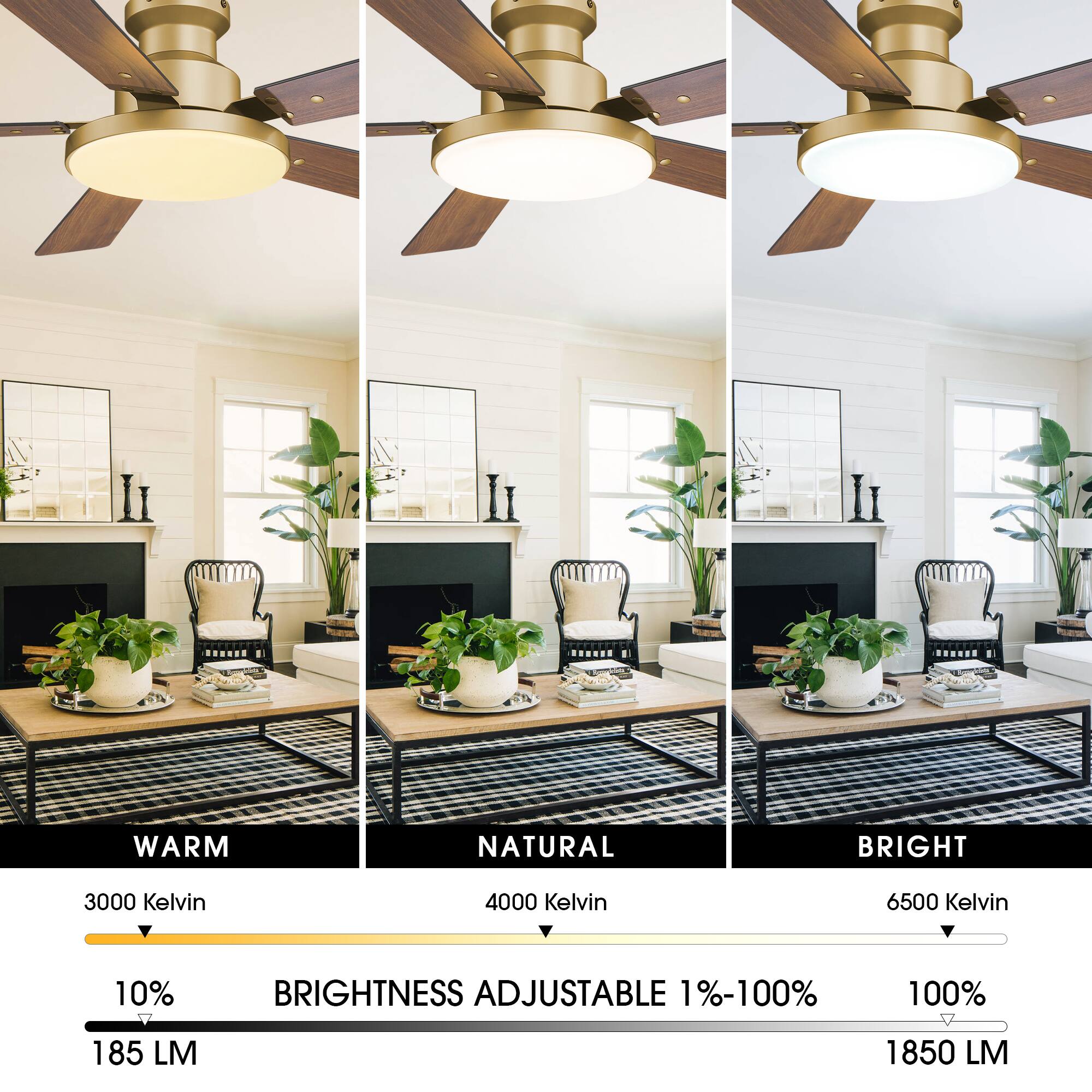 WARM NATURAL BRIGHT  
3000 Kelvin 4000 Kelvin 6500 Kelvin  
10% BRIGHTNESS ADJUSTABLE 1%-100%  
100%  
185 LM 1850 LM