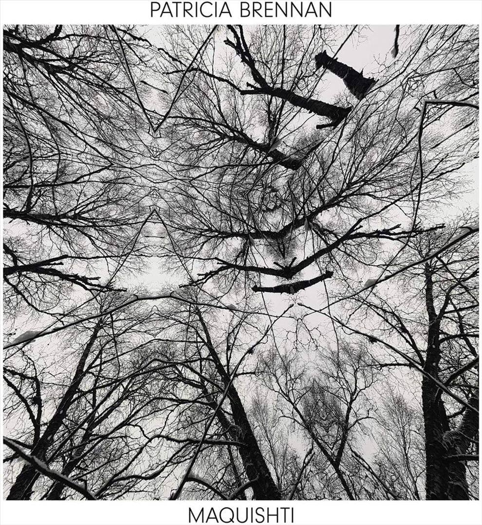 Maquishti [LP] [VINYL] price history on PriceWatchPro