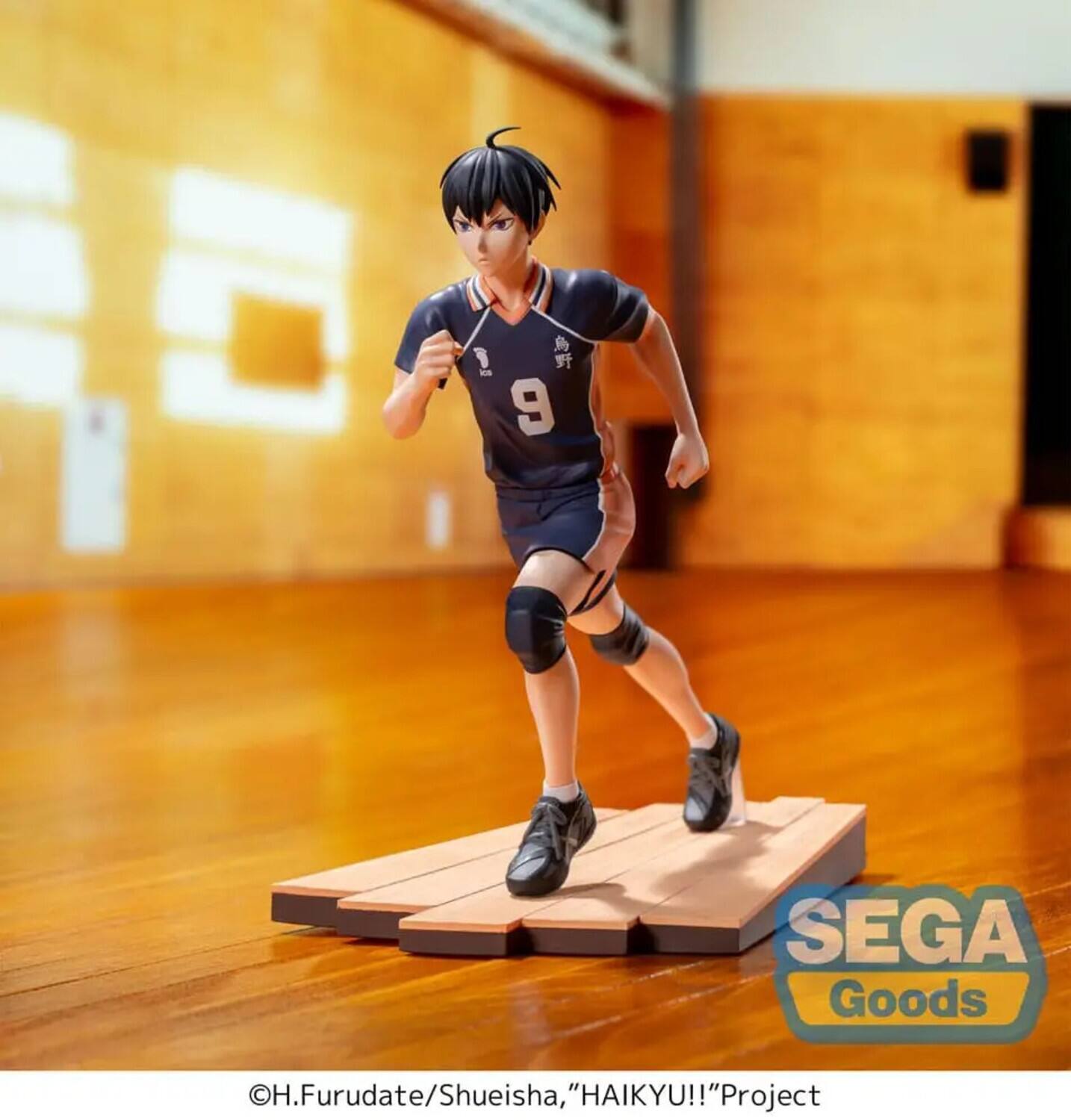 SEGA Goods  
H. Furudate/Shueisha, "HAIKYU!!" Project