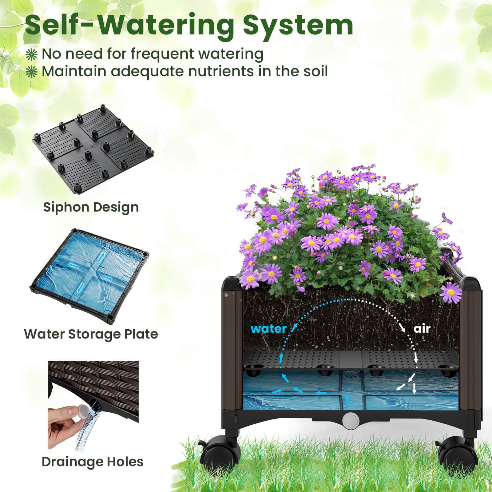 Self-Watering System

- No need for frequent watering
- Maintain adequate nutrients in the soil

Siphon Design

Water Storage Plate

Drainage Holes