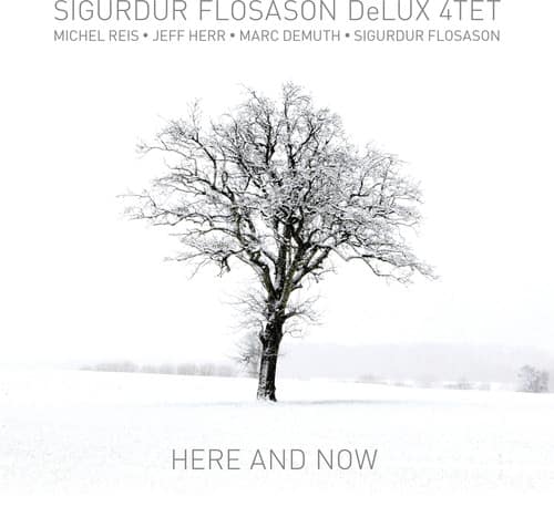 Sigurdur Flosason - Here & Now  - COMPACT DISCS
