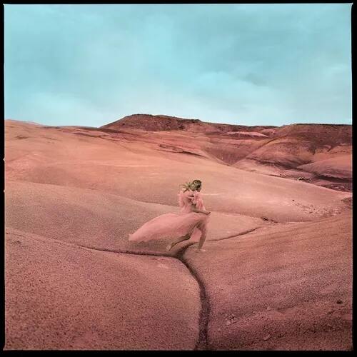 "Strays [Purple Swirl LP/Flexi-7"" Single] [LP] - VINYL" price history on PriceWatchPro