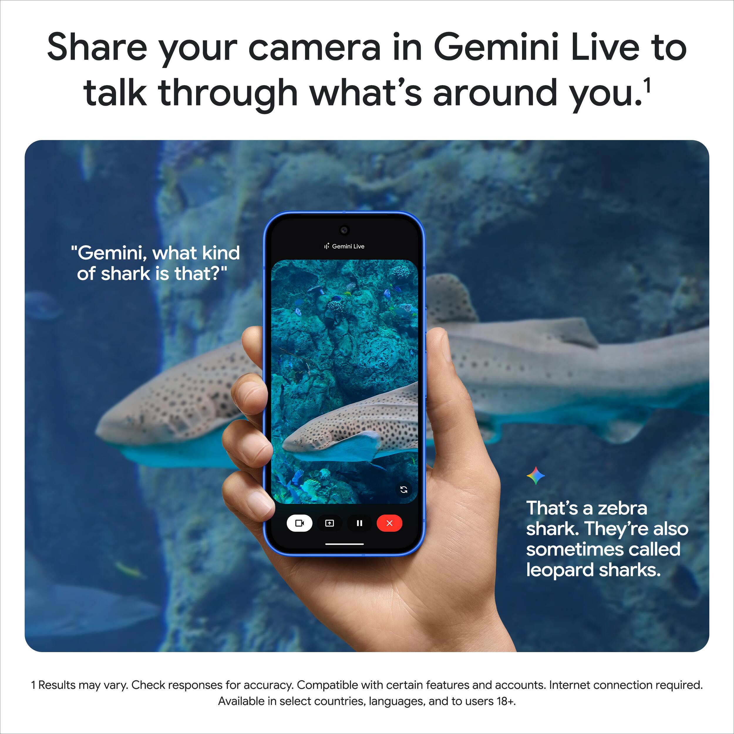 Share your camera in Gemini Live to talk through what's around you.¹

"Gemini, what kind of shark is that?"

That's a zebra shark. They're also sometimes called leopard sharks.

¹ Results may vary. Check responses for accuracy. Compatible with certain features and accounts. Internet connection required. Available in select countries, languages, and to users 18+.