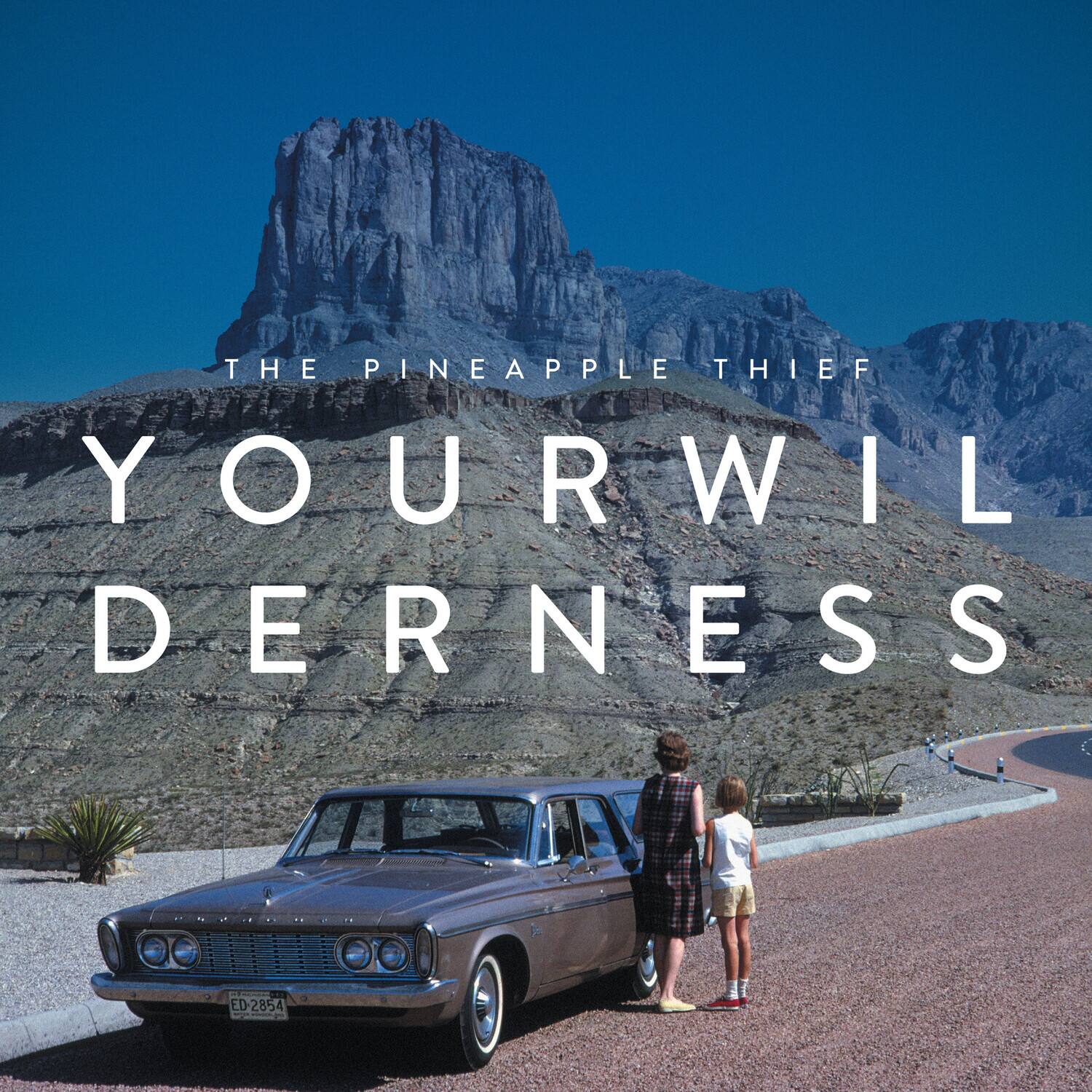 THE PINEAPPLE THIEF  
YOUR WILDERNESS  

Phynourn  
A ED-2854  WONQUE