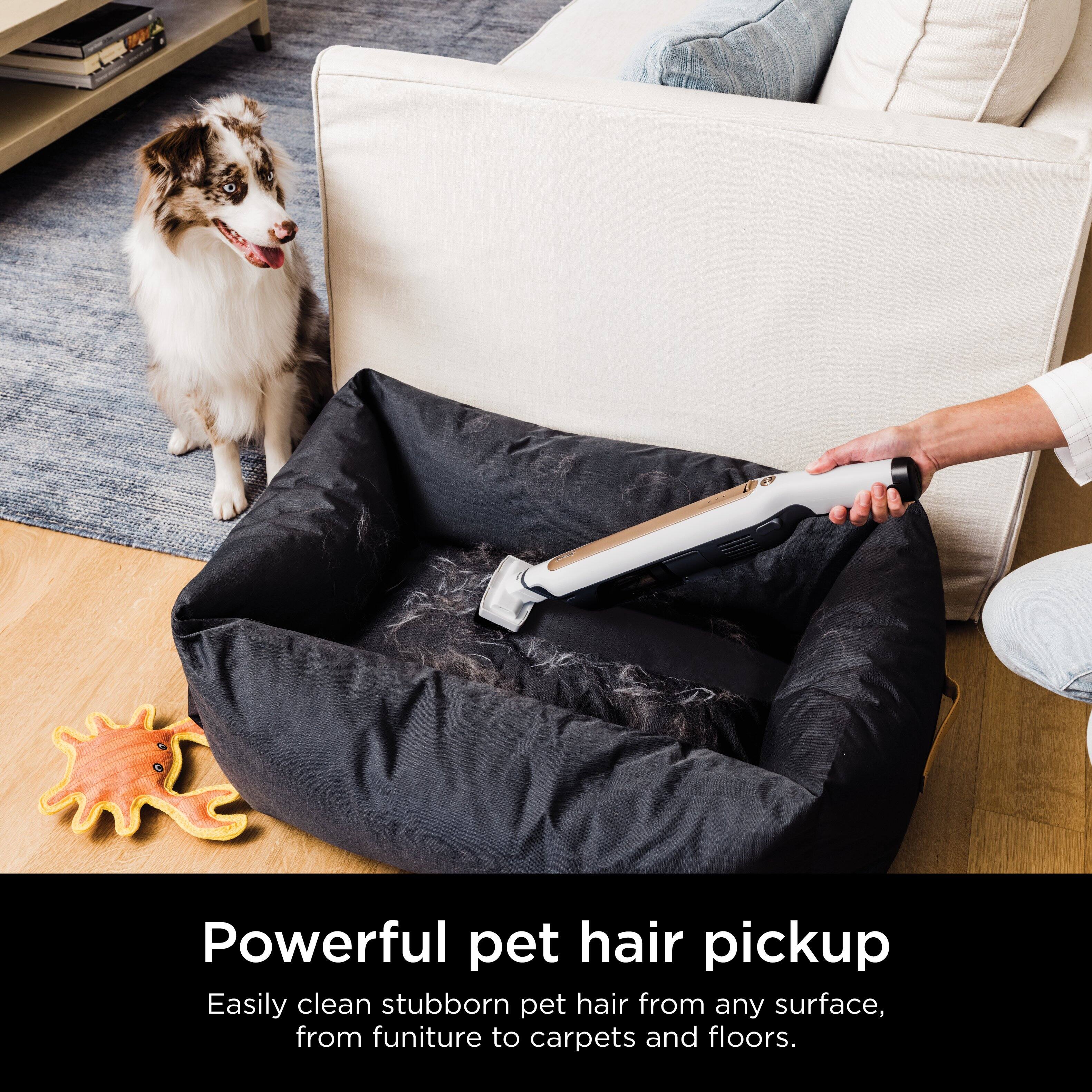 Powerful pet hair pickup: Easily clean stubborn pet hair from any surface, from furniture to carpets and floors.
