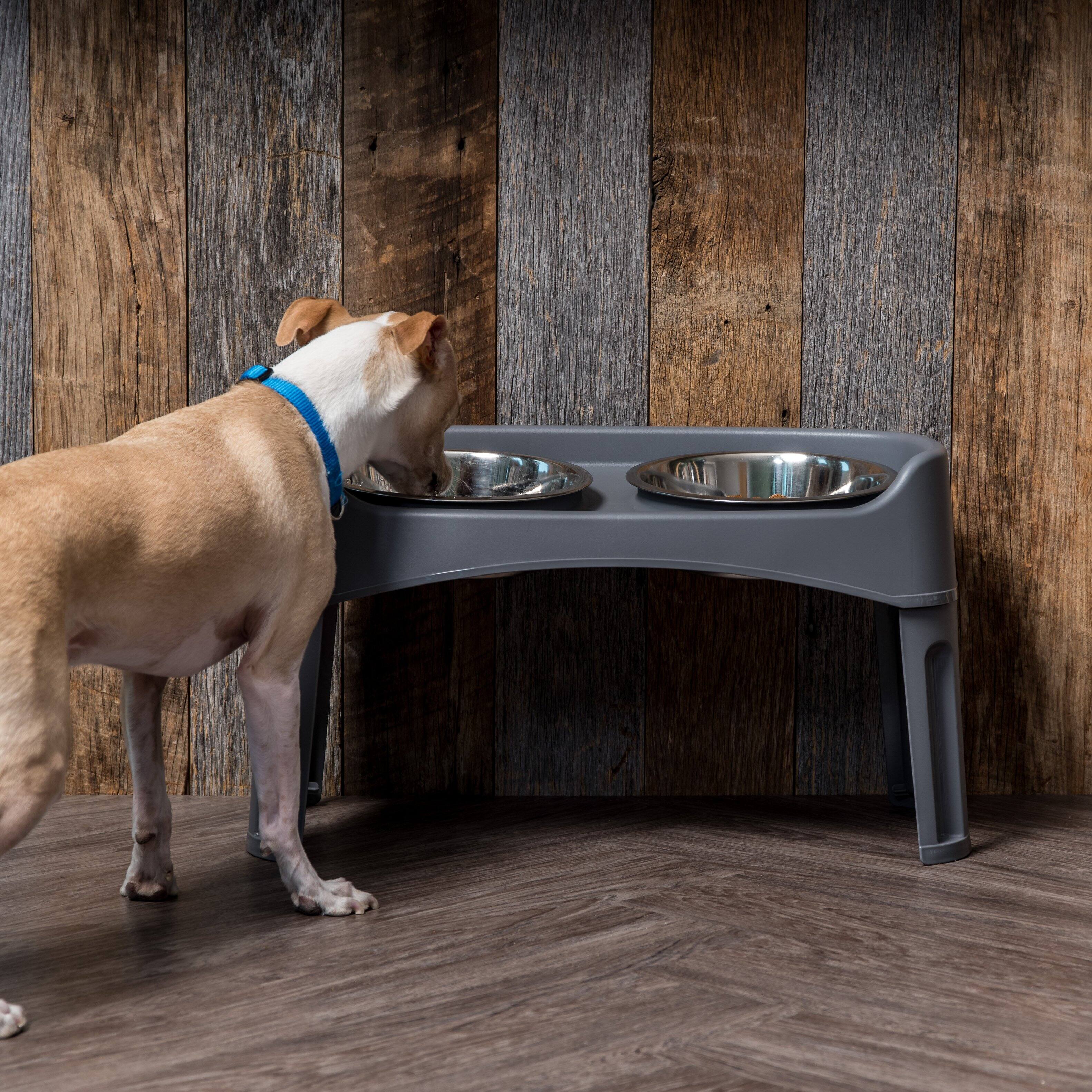 Alt View 2. IRIS USA - IRIS USA Elevated Dog Bowls, Adjustable Height, 2 Thick 64 oz Stainless Steel Bowls - Gray.