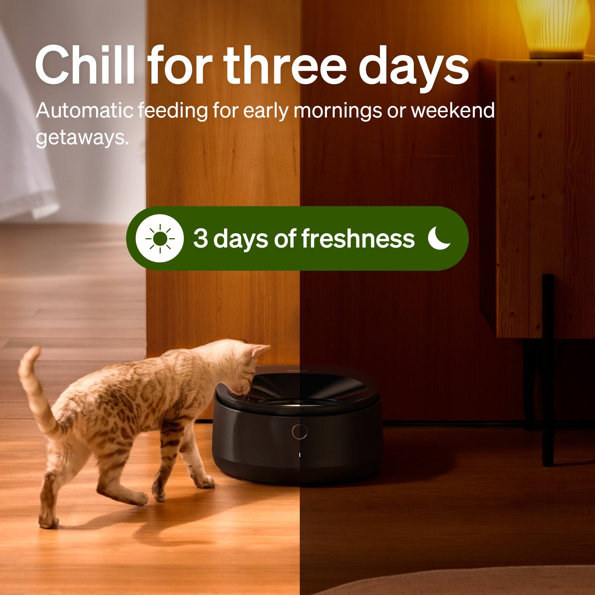 Chill for three days: Automatic feeding for early mornings or weekend getaways. 3 days of freshness.