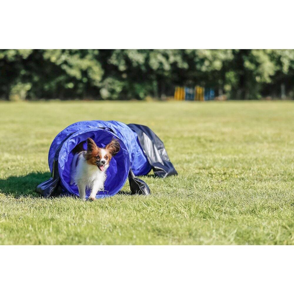 Left. TRIXIE - Dog Agility Tunnel 6.5', Portable Dog Training Tunnel, Obedience - Blue.