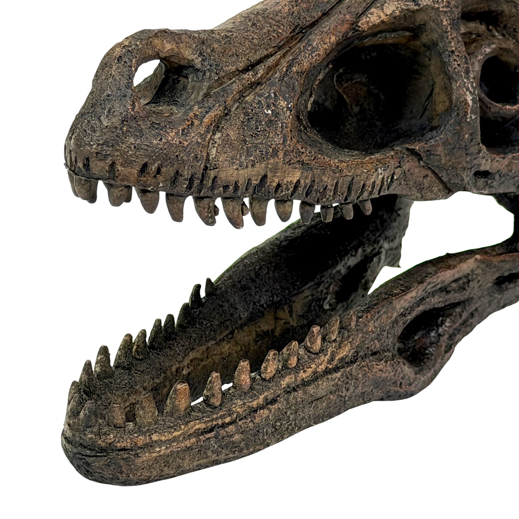 Alt View 8. Things2Die4 - Velociraptor Statue Brown Resin Dinosaur Fossil Replica 7 Inch Decor - Brown.
