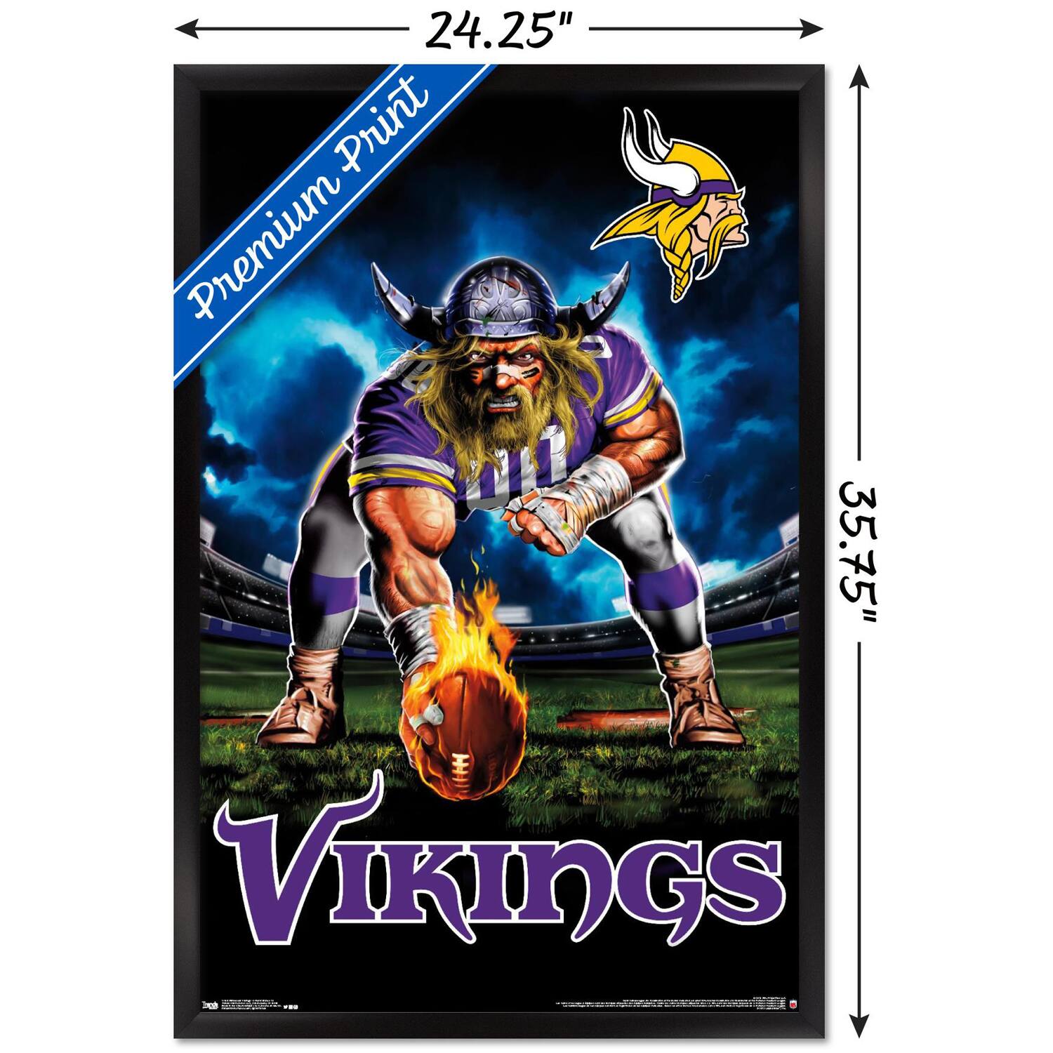 24.25" x 35.75"  
Premium Print  
VIKINGS
