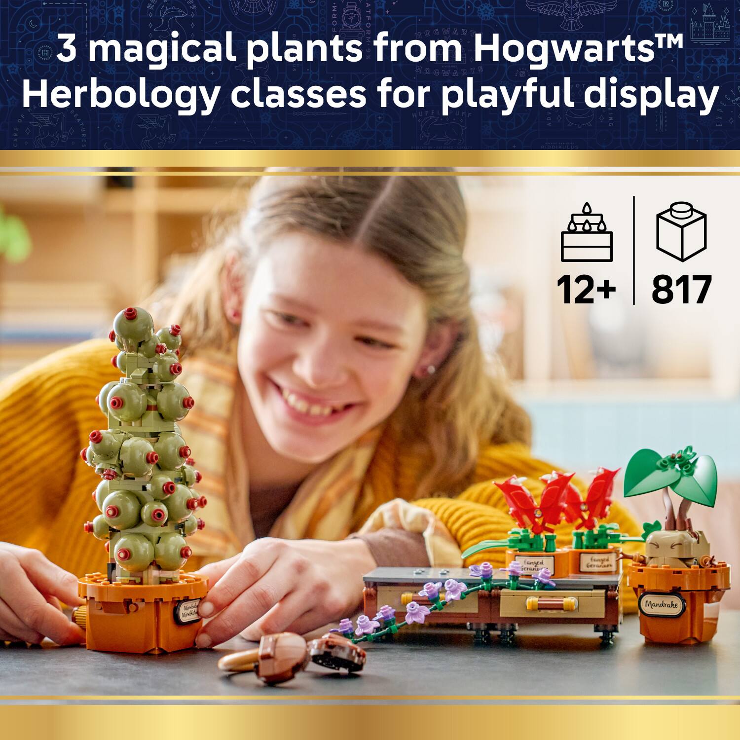 3 magical plants from Hogwarts™ Herbology classes for playful display  
12+  
817  
Tany CA Samppd ra A TA Mundrake