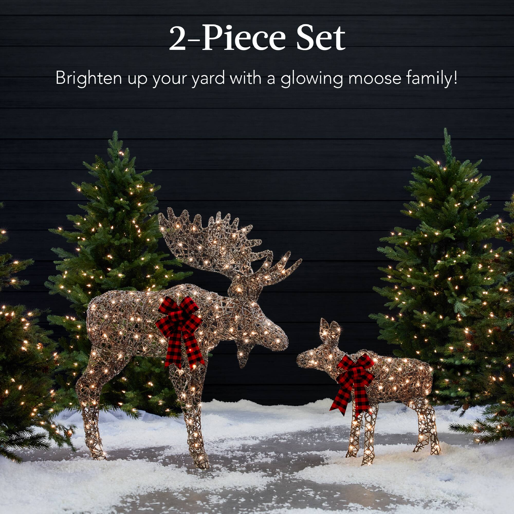 2-Piece Set

Brighten up your yard with a glowing moose family!
